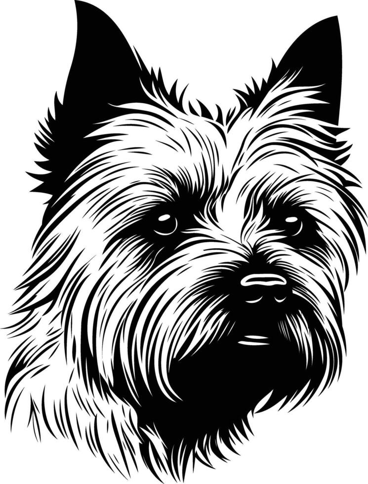 A striking black and white illustration of a cairn terrier's head, showcasing their characteristic terrier features vector