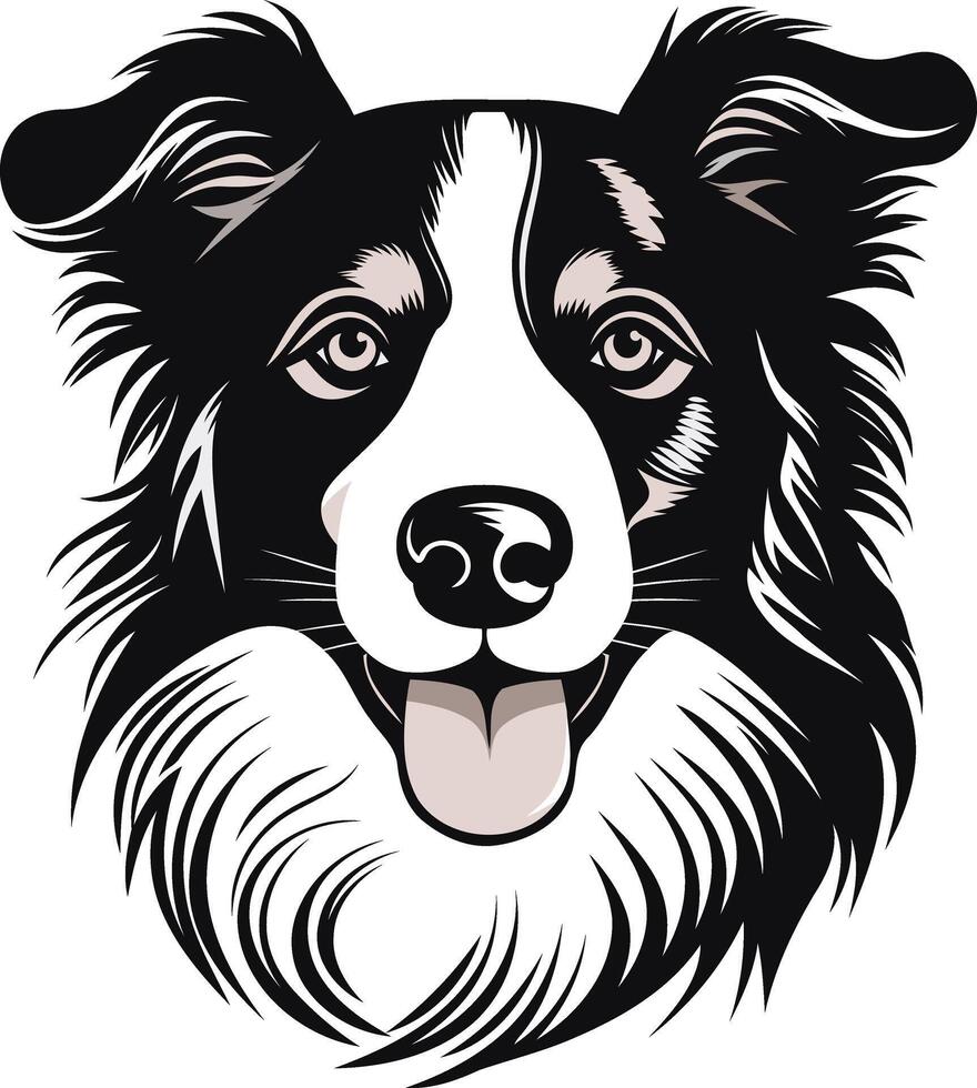 Black and White Border Collie Portrait vector