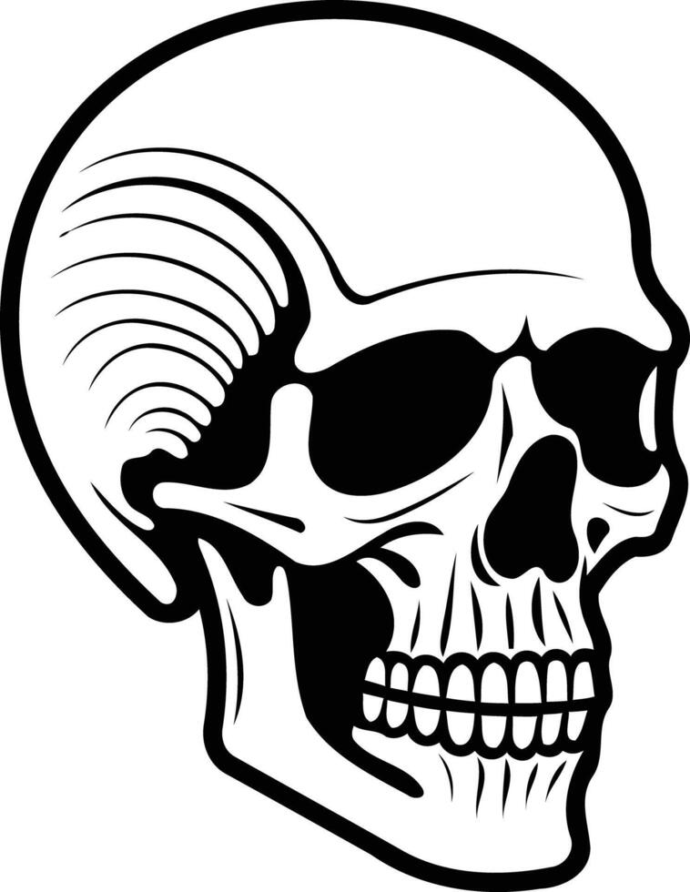A detailed black and white illustration of a human skull, perfect for designs requiring a classic and edgy aesthetic vector