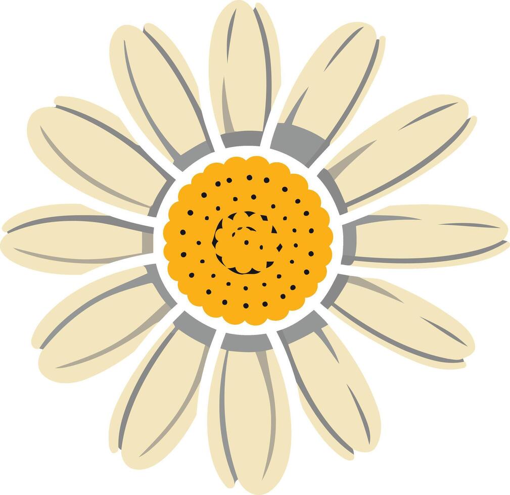 Simple Illustration of a Daisy Flower vector
