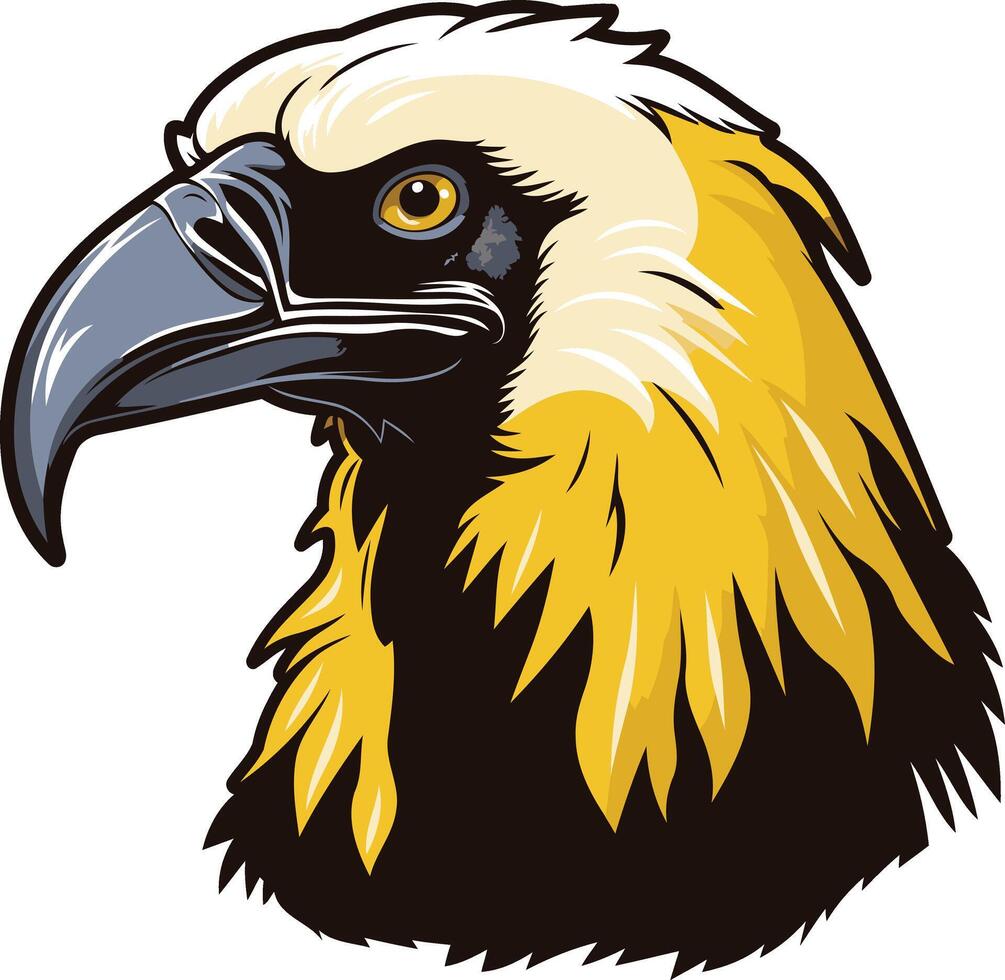 Close up Portrait of a Bald Eagle Head vector