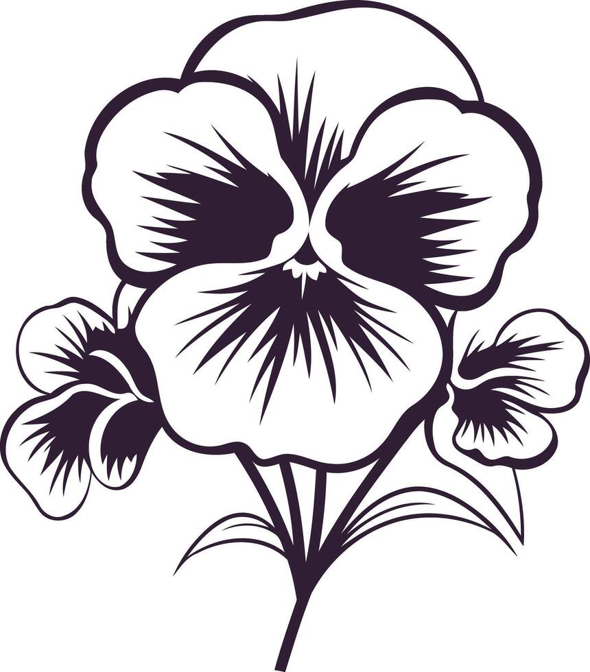 Black and White Illustration of a Pansy Flower vector