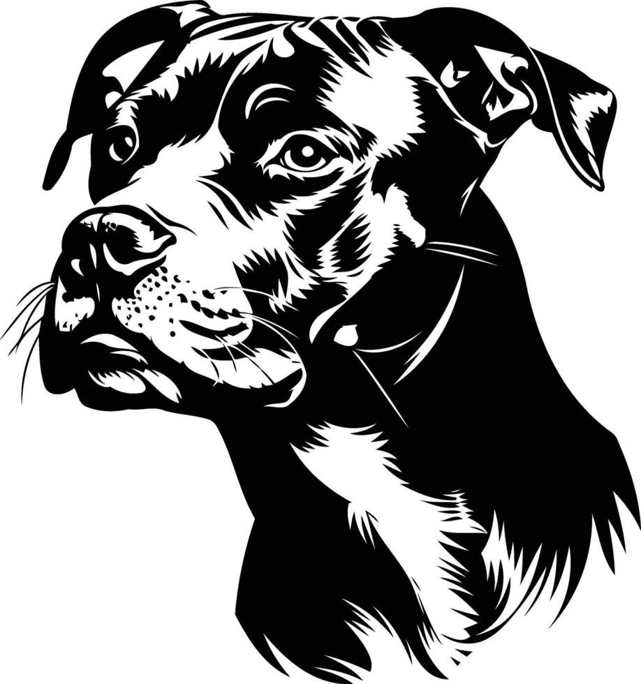 A striking black and white illustration of a pit bull terrier's head vector