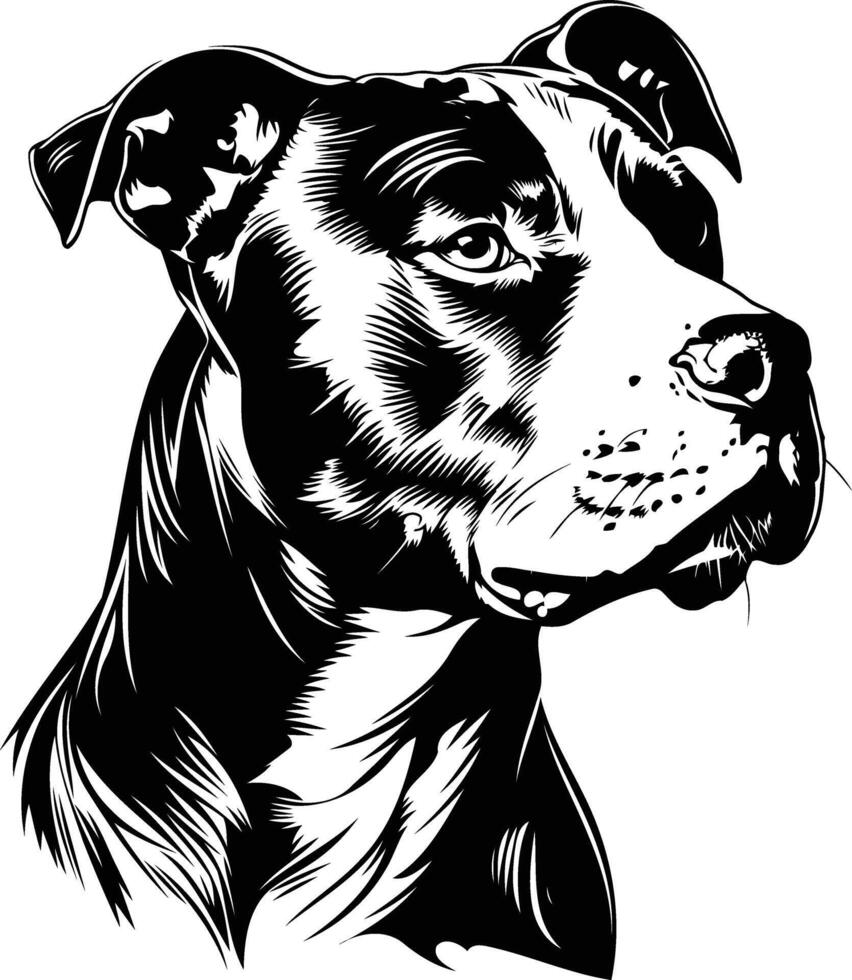 A striking black and white illustration of a pit bull's head, perfect for dog loving designs vector