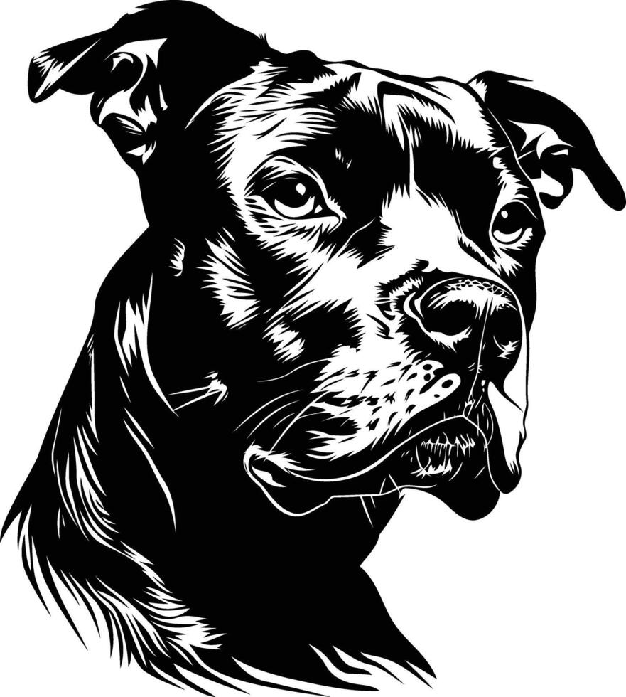 A striking black and white illustration of a pit bull's head, showcasing its strong features and intense gaze vector