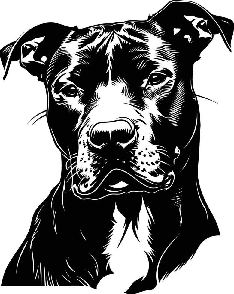 A striking black and white illustration of a pit bull's head, capturing its powerful presence and intense gaze vector