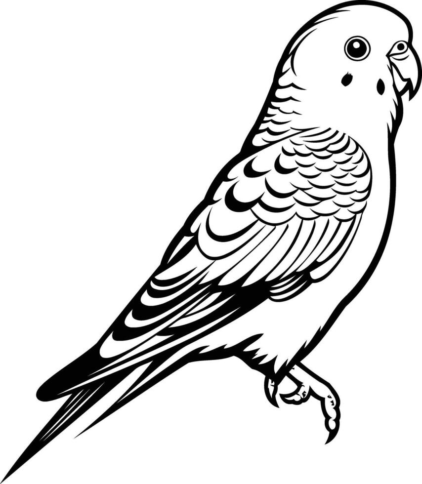 A simple yet striking line drawing of a parakeet, perfect for adding a touch of nature to your designs vector