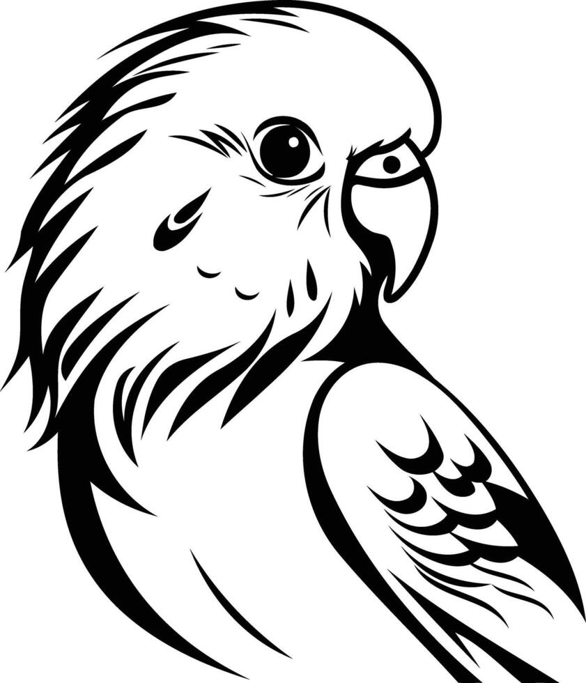 Black and white tattoo style illustration of a parakeet, perfect for t shirt designs, posters, and branding vector