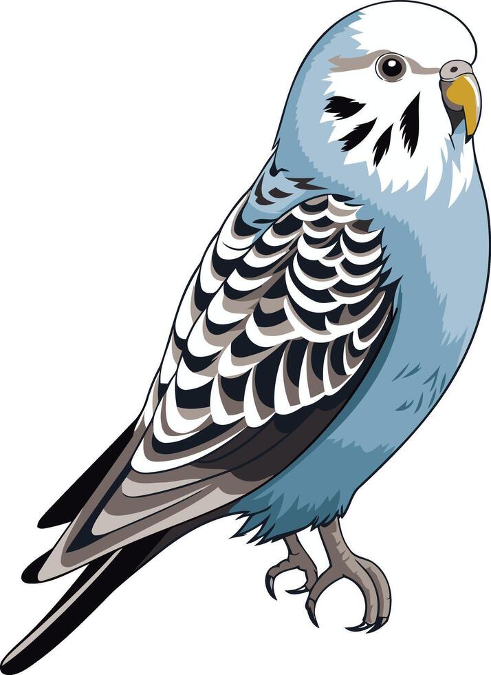 Illustrated Portrait of a Blue Budgie vector
