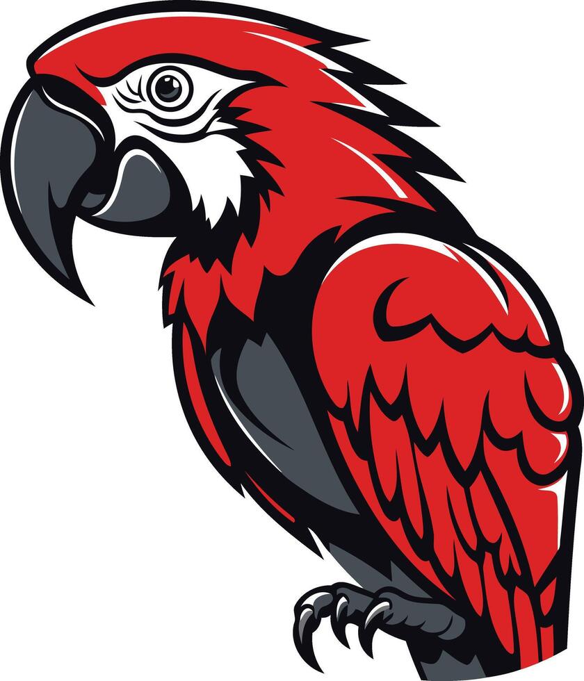 Scarlet Macaw Parrot Illustration vector