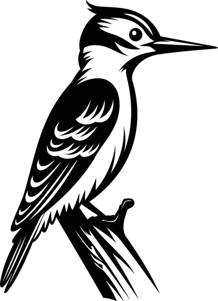 A striking black and white illustration of a woodpecker perched on a branch vector