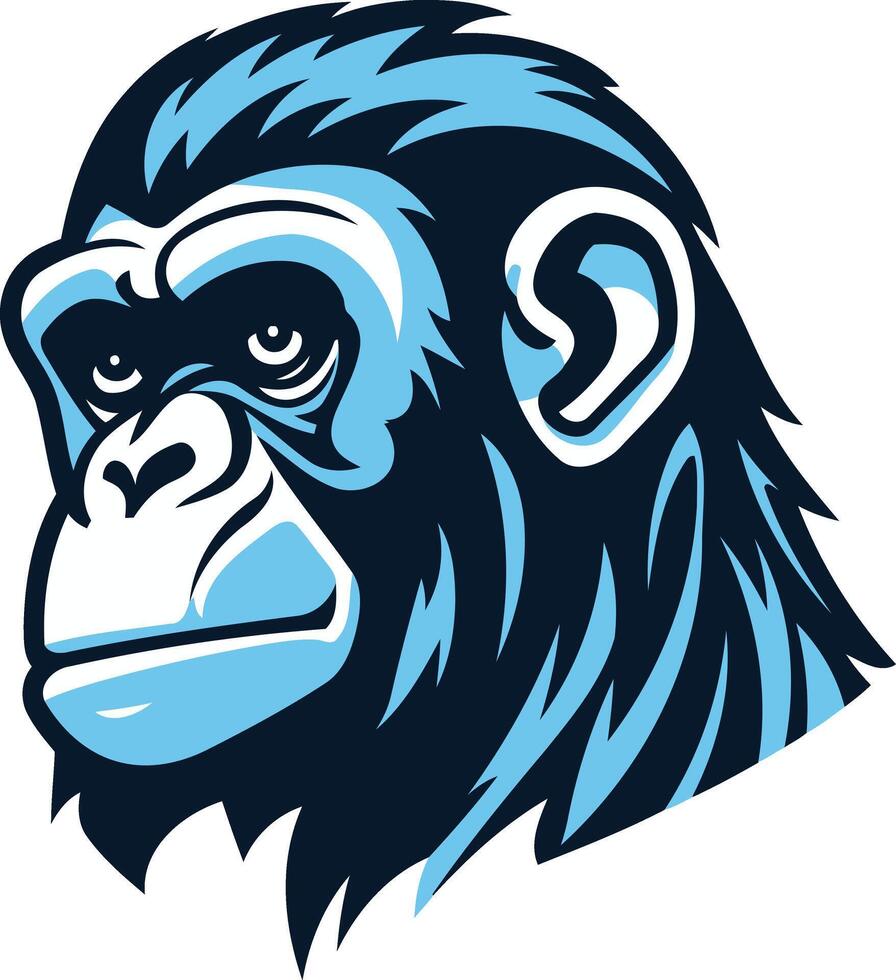 Close Up Portrait of a Chimpanzee vector