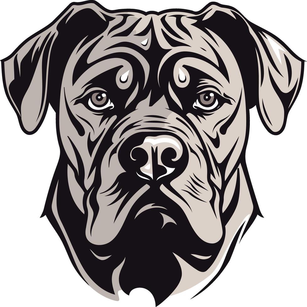Close Up Portrait of a Bulldog vector