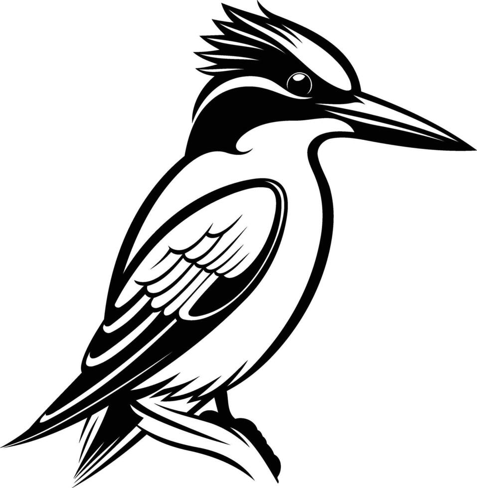 Black and white illustration of a kingfisher bird in a classic, stylized design vector