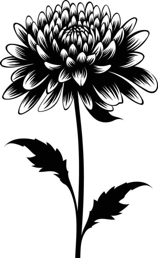 Elegant black and white silhouette of a single chrysanthemum flower with stem and leaves vector