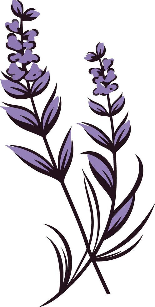 Lavender Flowers Illustration vector
