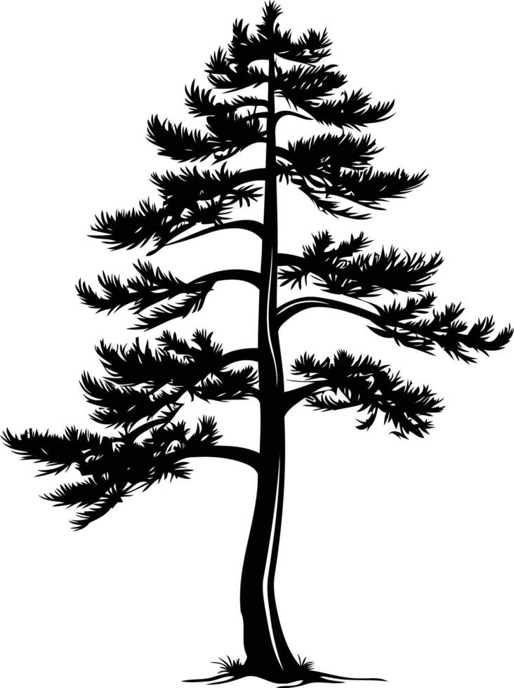 Simple silhouette of a lone pine tree, perfect for designs, illustrations, and nature themed projects vector