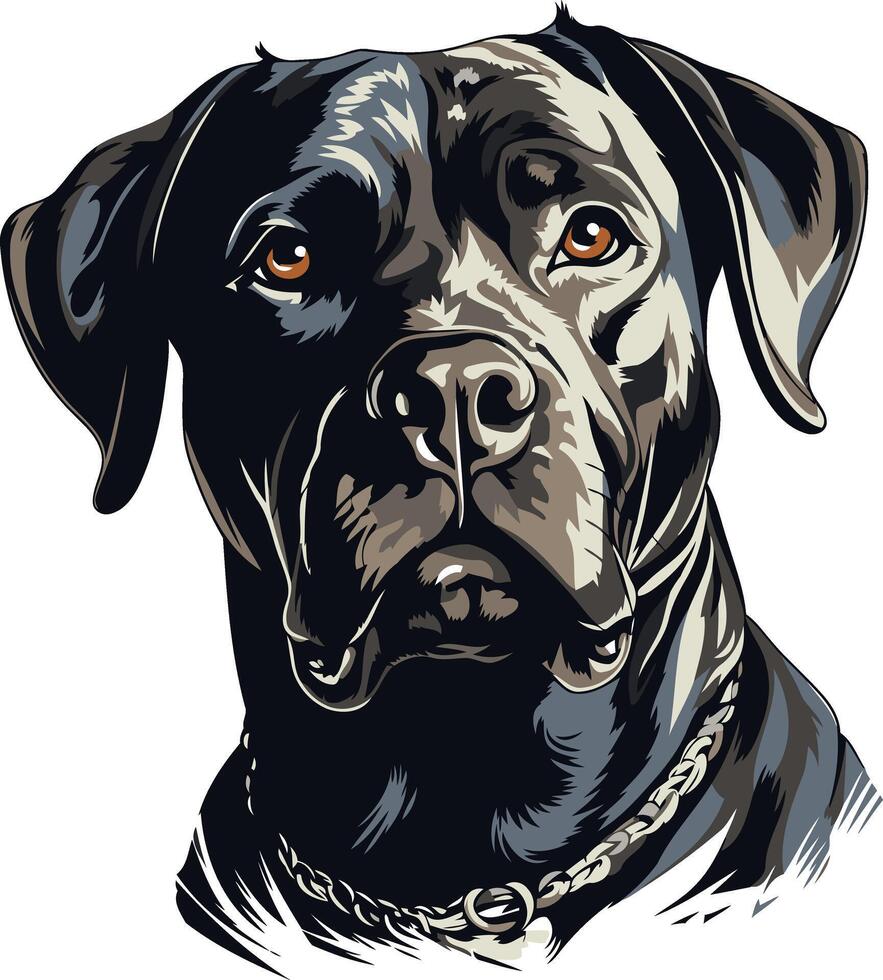 Portrait of a Black Labrador Retriever vector