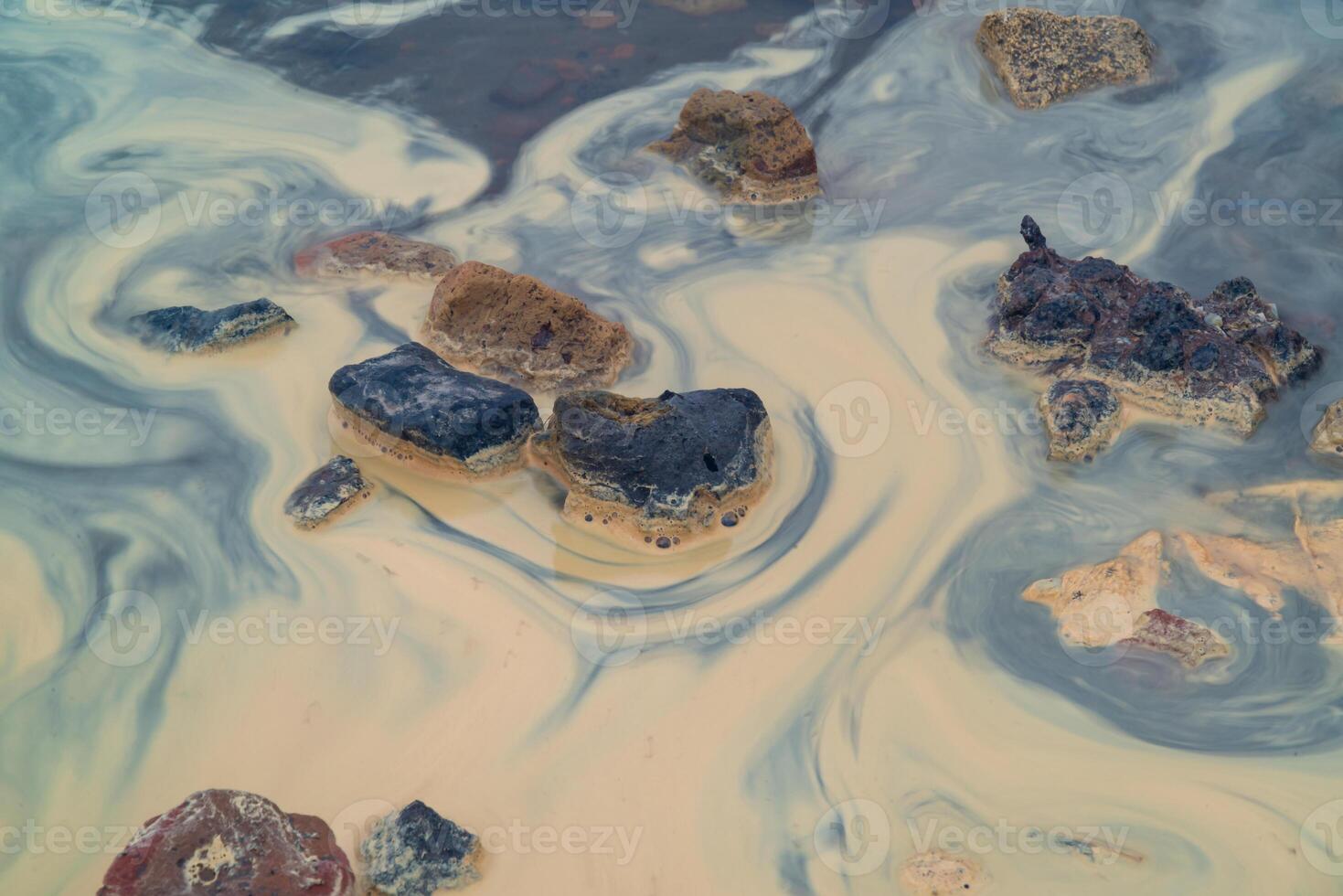 Yellow eggs of the crustaceans Artemia salina on the bank of the drying photo