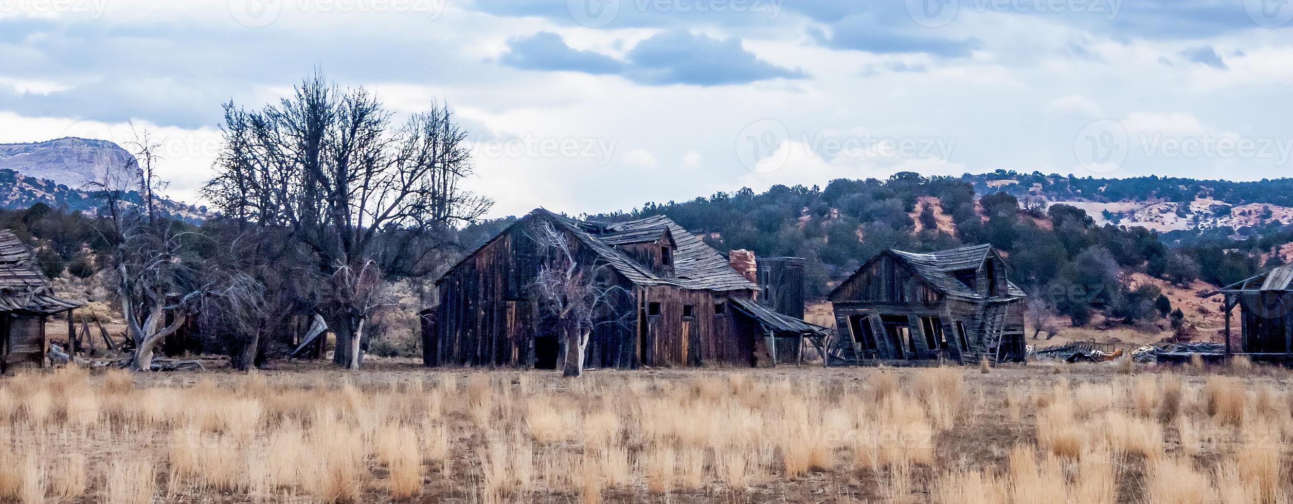 Abandoned old wooden houses in the dry desert photo
