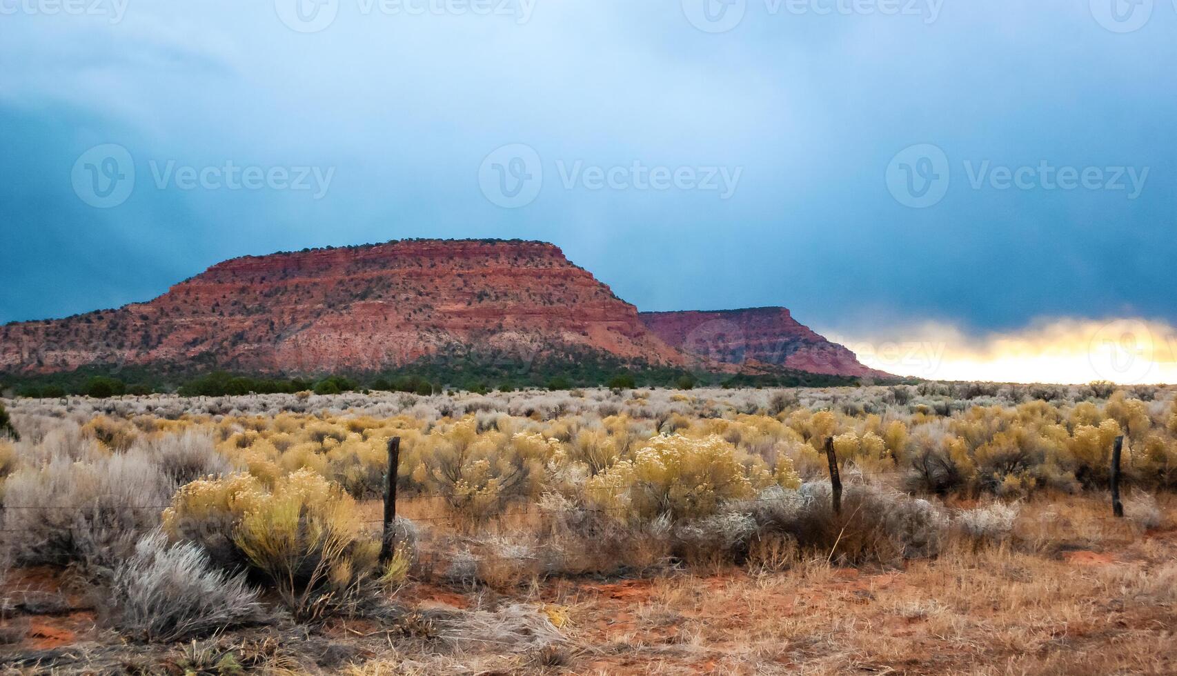 Red petrified sandstone rock in the Arizona desert photo