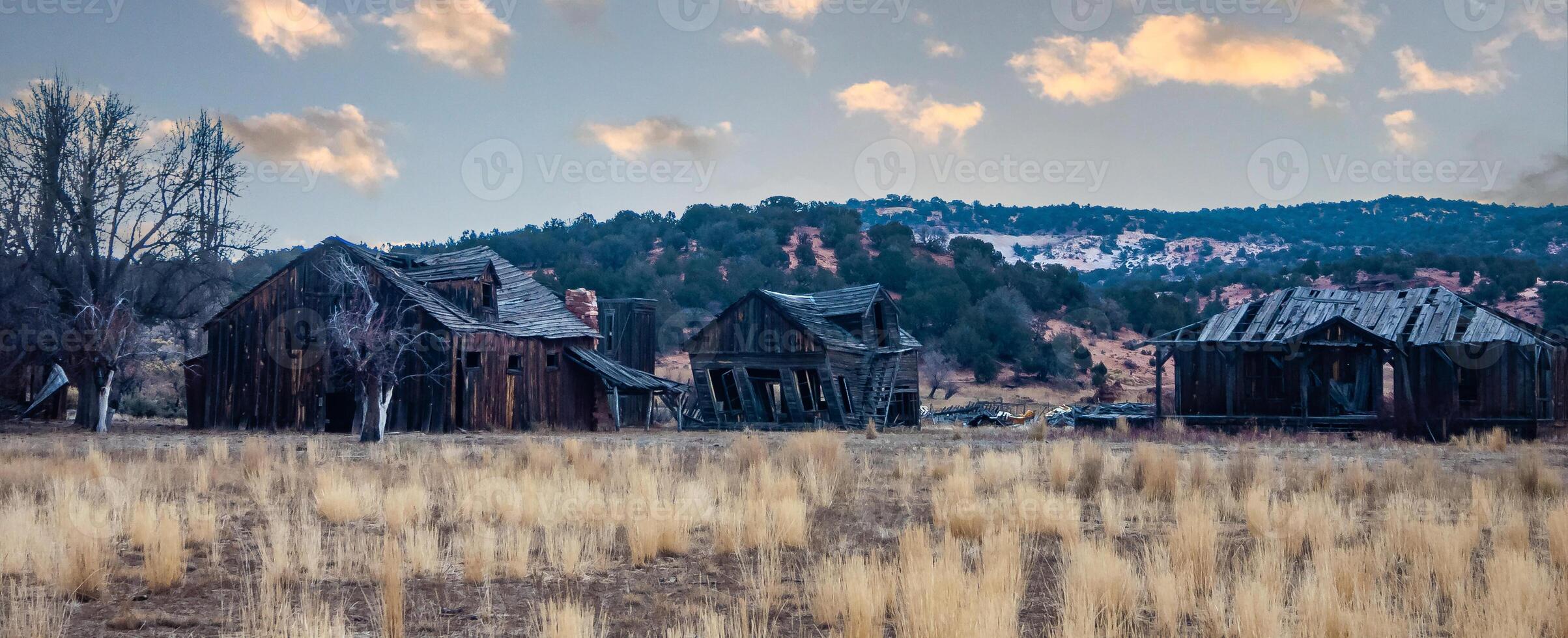 Abandoned old wooden houses in the dry desert photo