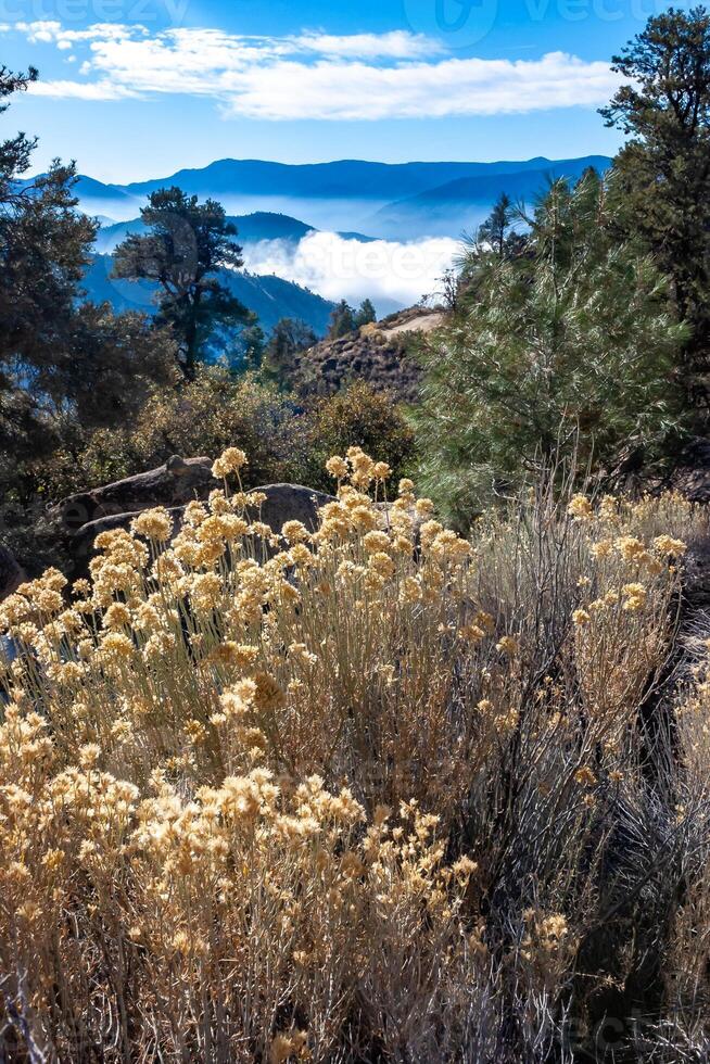 Beautiful mountain scenery on the background of clouds, layers of mountains on the horizon, Sierra Nevada Mountains, California, USA photo