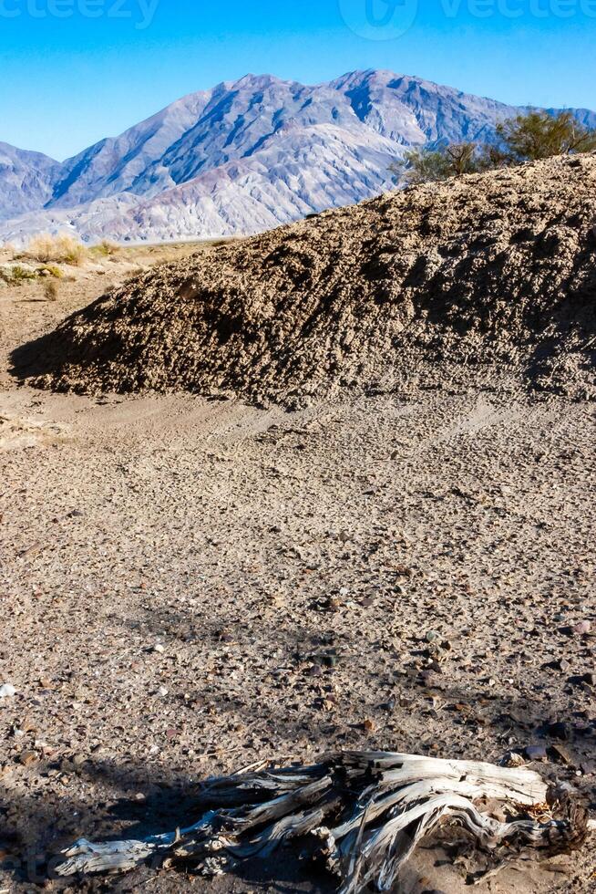 Dead dry tree against the sky and mountains in Death Valley, Death Valley National Park, California photo
