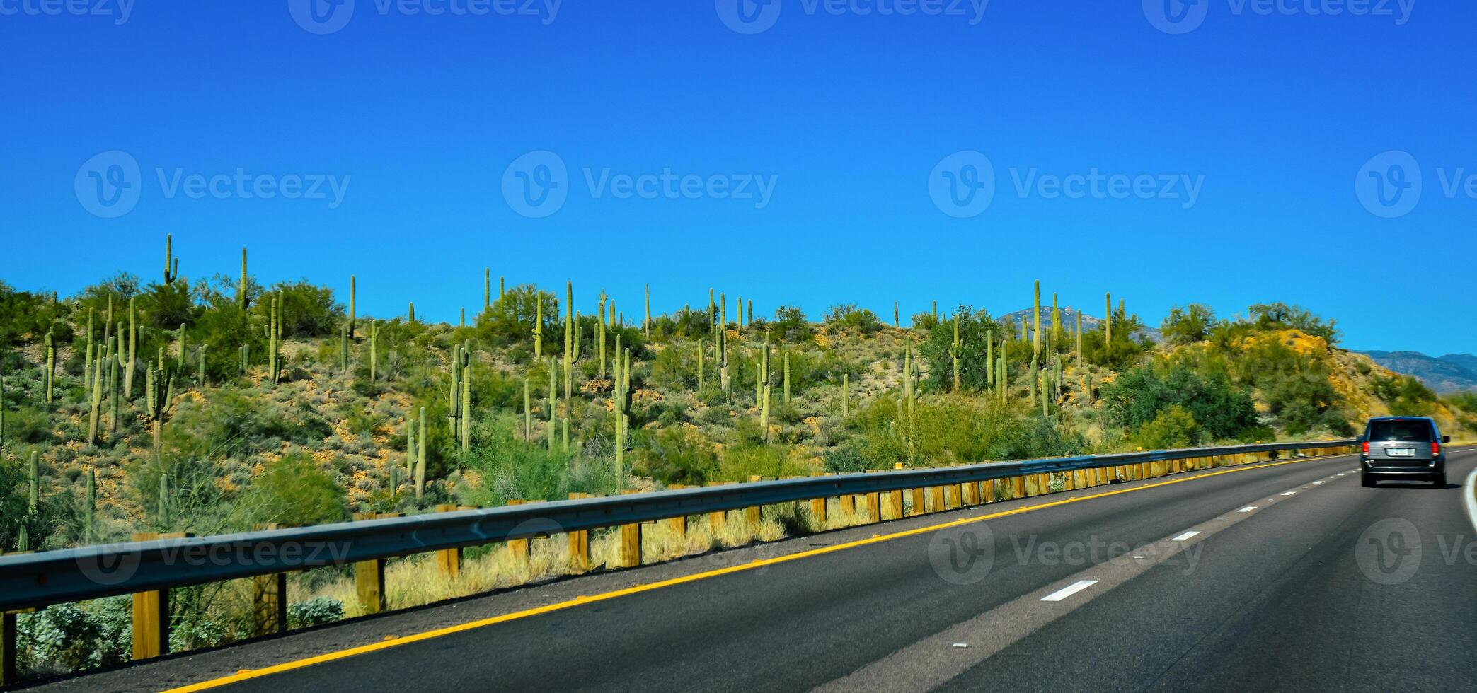 A car road against the backdrop of a stone desert with giant cacti in winter in Arizona photo