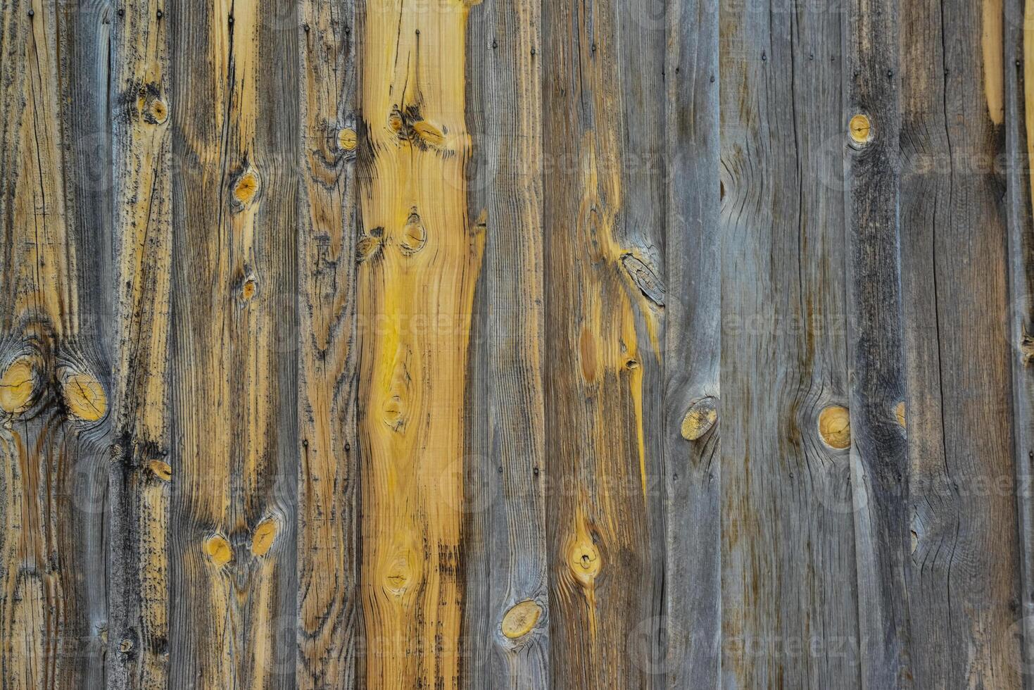Old rotten wood, boards with knots on an old barn photo