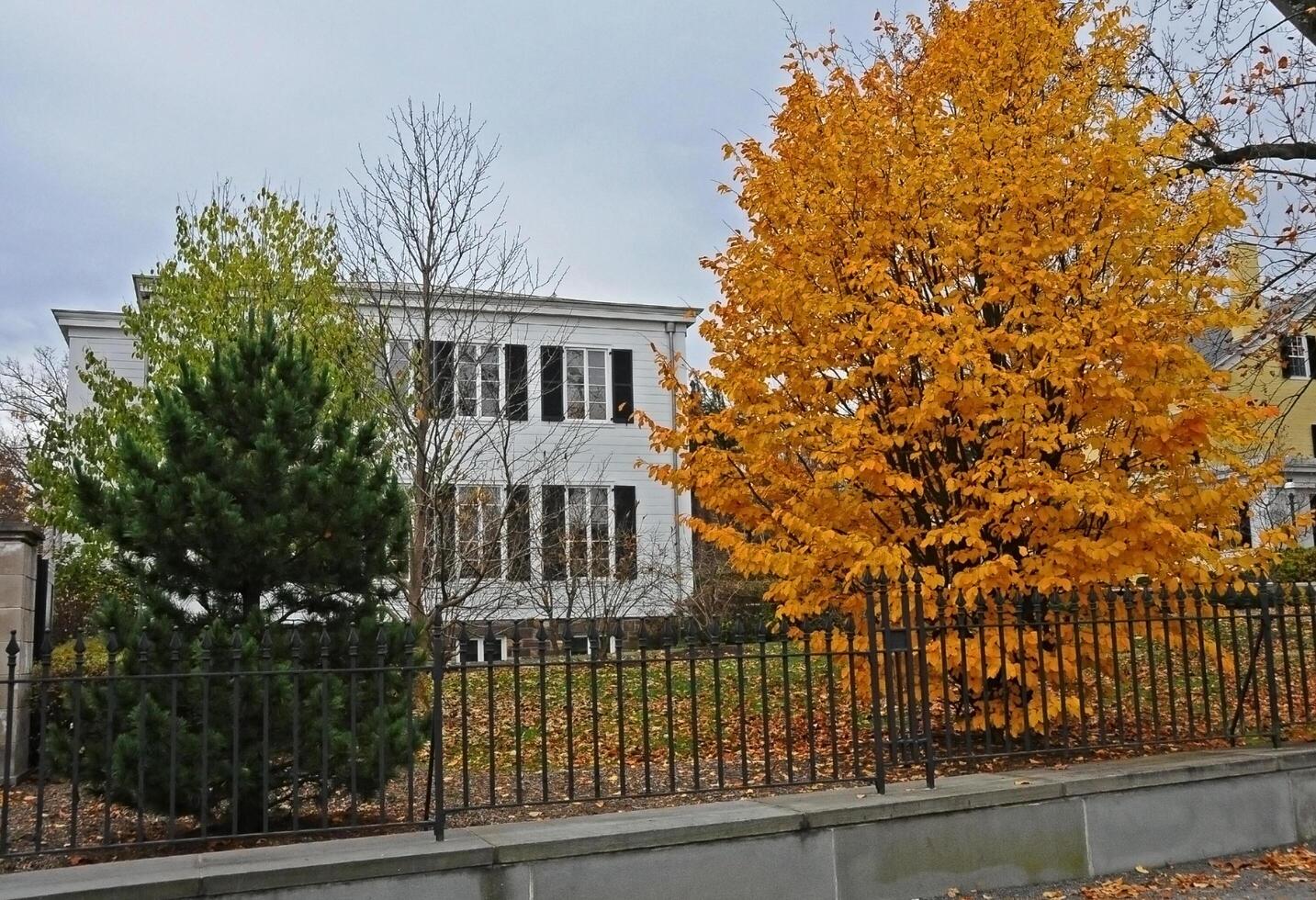 PRINCETON, NJ -15 NOVEMBER 2011 Princeton University is a Private Ivy League University in New Jersey, USA photo