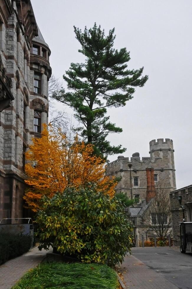 PRINCETON, NJ -15 NOVEMBER 2011 Princeton University is a Private Ivy League University in New Jersey, USA photo