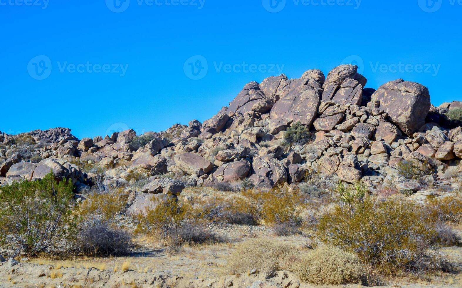 Rock desert landscape in California, yucca, cacti and desert plants in the foreground photo