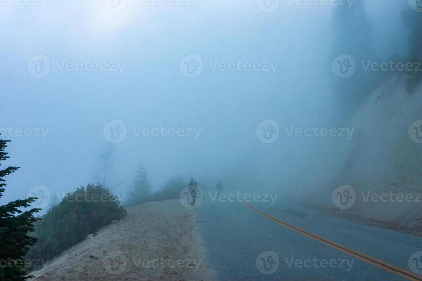 Mountain pass - view from the top of the mountain, coniferous trees in clouds on the slopes of the Sierra Nevada mountains, California, USA photo