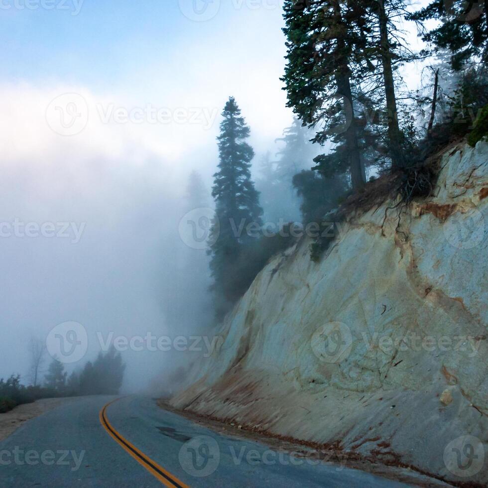 Mountain pass - view from the top of the mountain, coniferous trees in clouds on the slopes of the Sierra Nevada mountains, California, USA photo