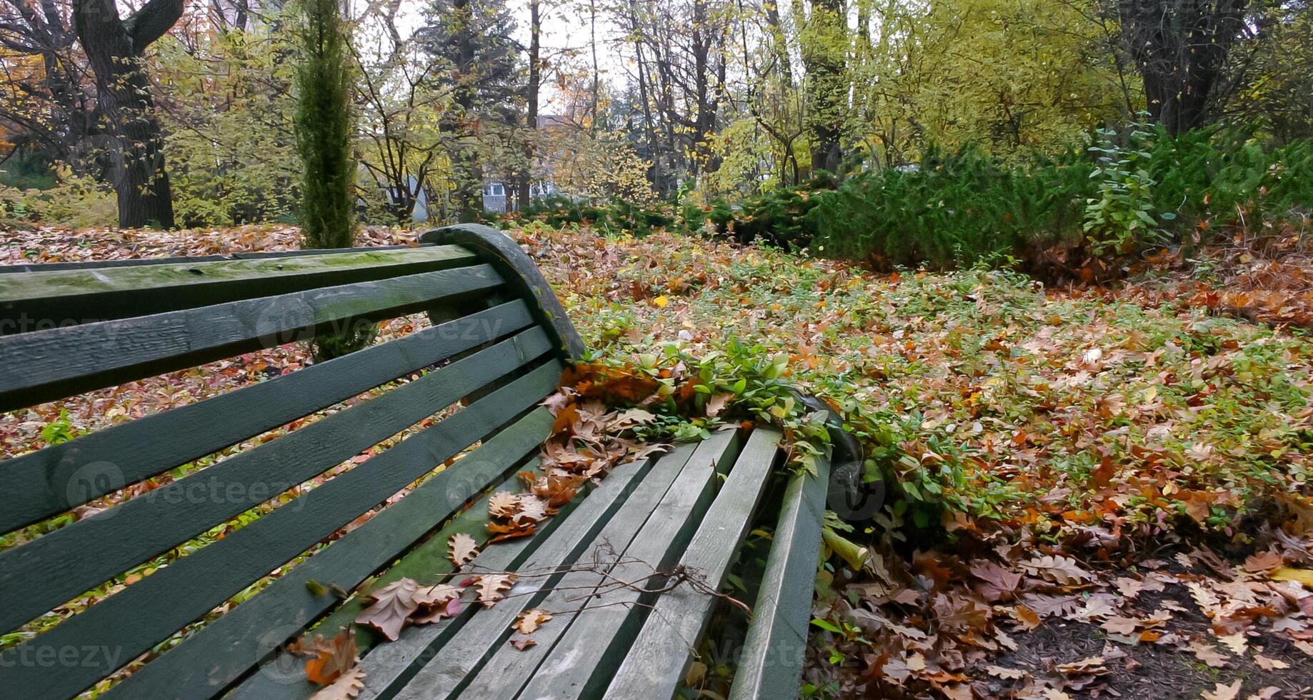 Old wooden bench for relaxing in the garden in autumn photo