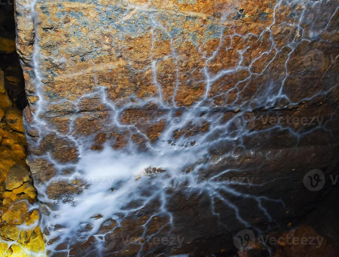 Overgrown colonies of mold fungi Ascomycetes on rotten organic matter in the Odessa catacombs photo