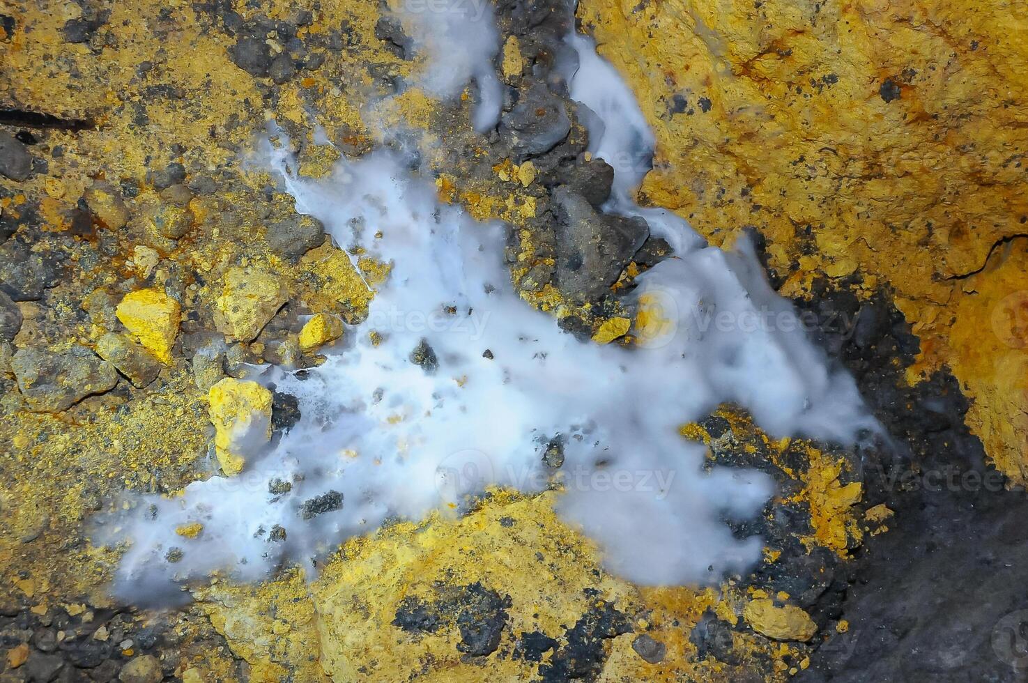 Overgrown colonies of mold fungi Ascomycetes on rotten organic matter in the Odessa catacombs photo
