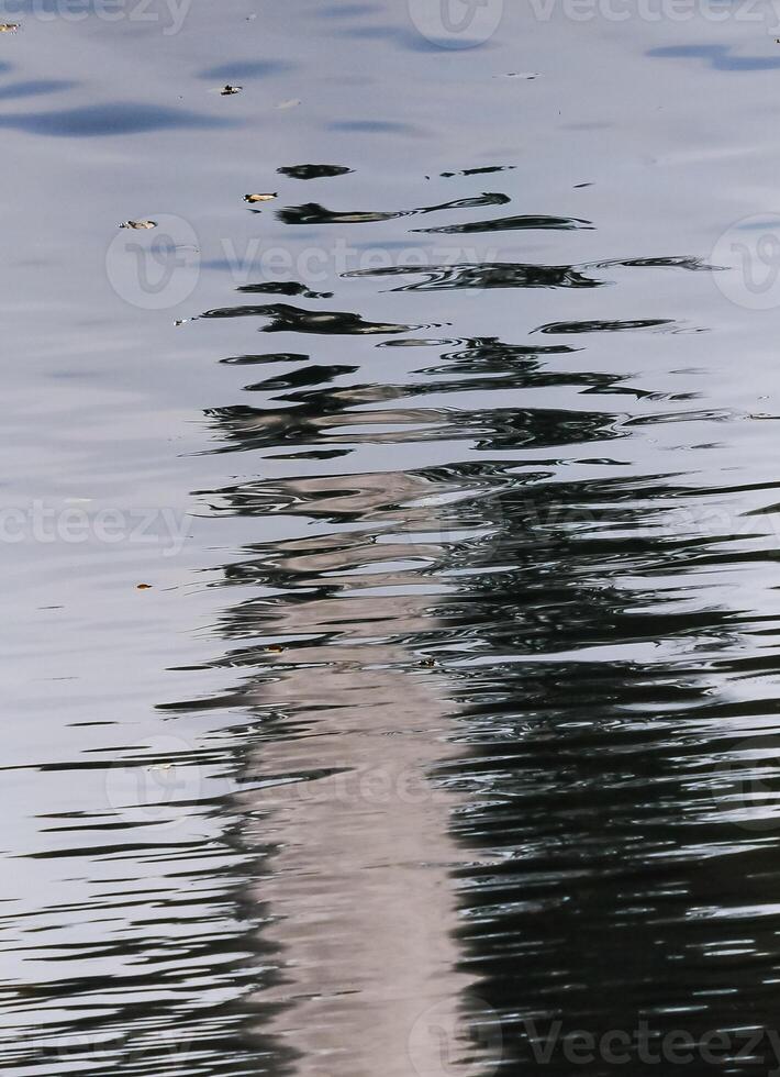 Beautiful glare and reflections in the water of the pond in Sofiyivka park, Uman photo