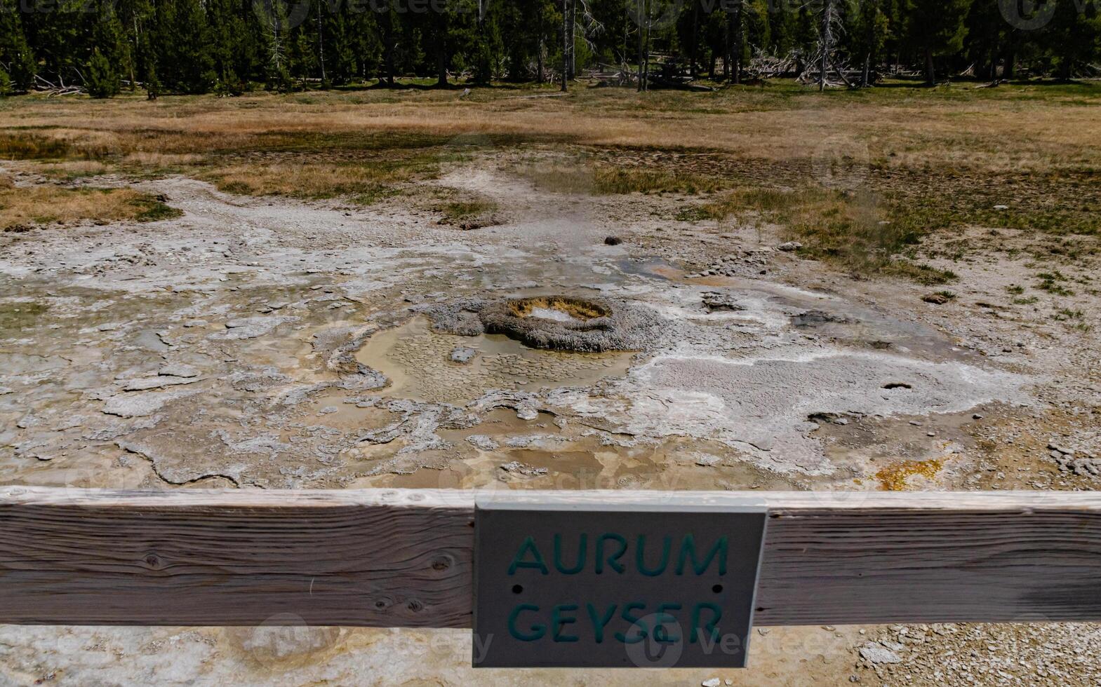 Boiling water bubbler Geyser. Active geyser with major eruptions. Yellowstone NP, Wyoming, US photo