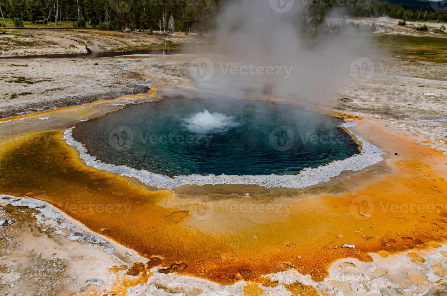Boiling water bubbler Geyser. Active geyser with major eruptions. Yellowstone NP, Wyoming, US photo