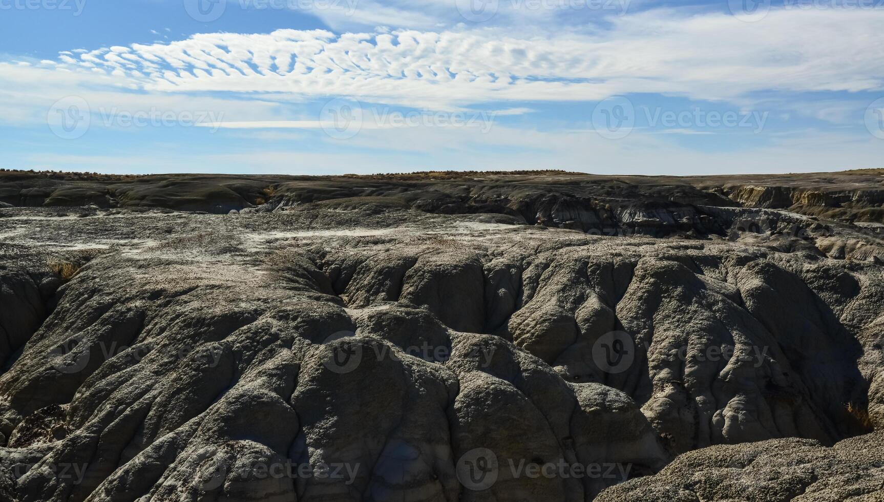 Weird sandstone formations created by erosion at Ah-Shi-Sle-Pah Wilderness Study Area in San Juan County near the city of Farmington, New Mexico. photo
