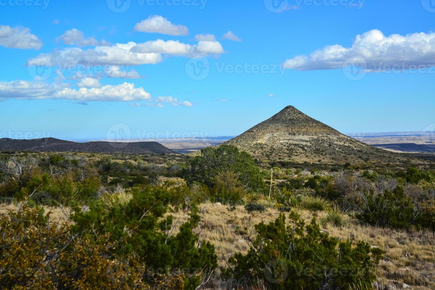 Agave, yucca, cacti and desert plants in a mountain valley landscape in New Mexico, photo