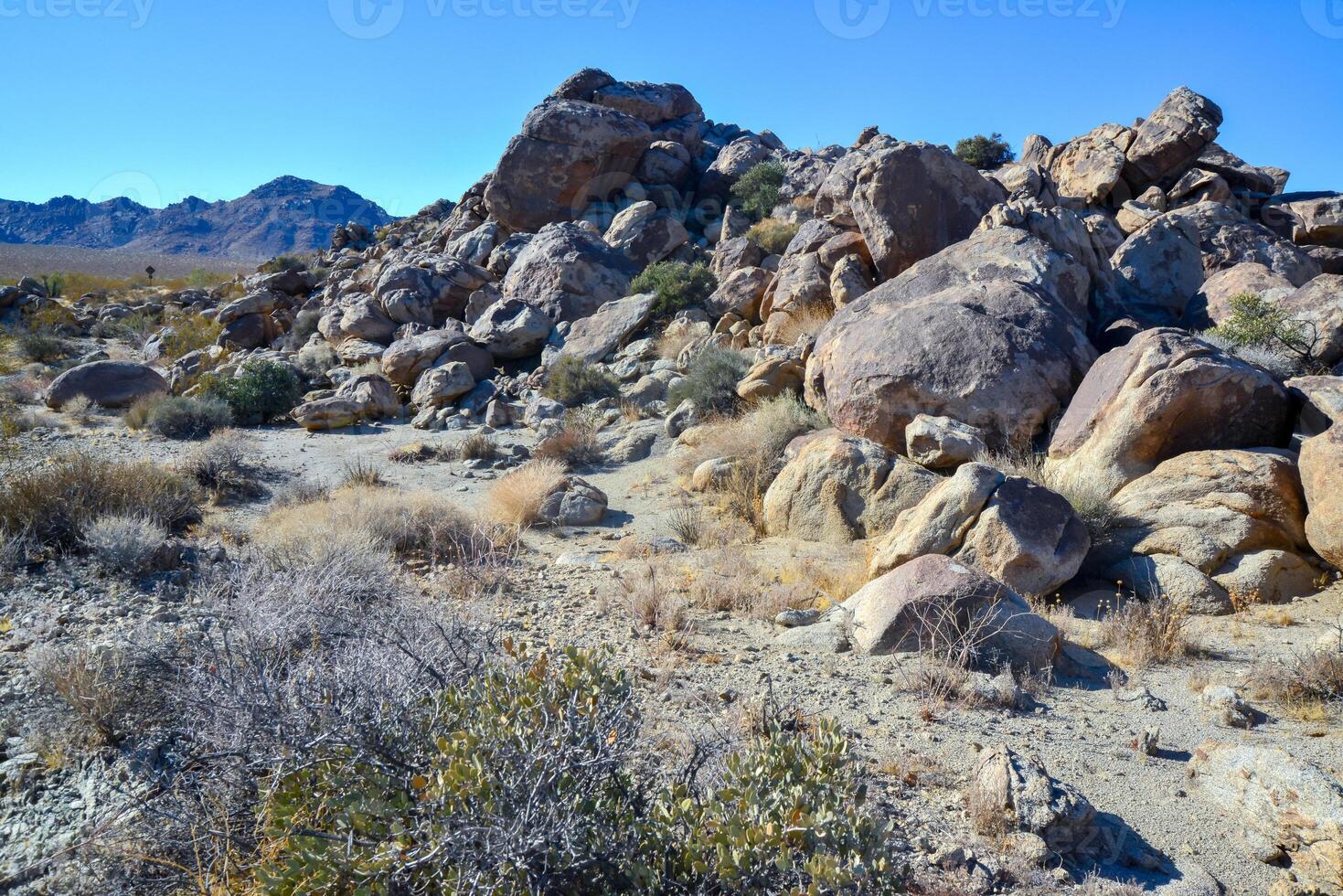 Rock desert landscape in California, yucca, cacti and desert plants in the foreground photo