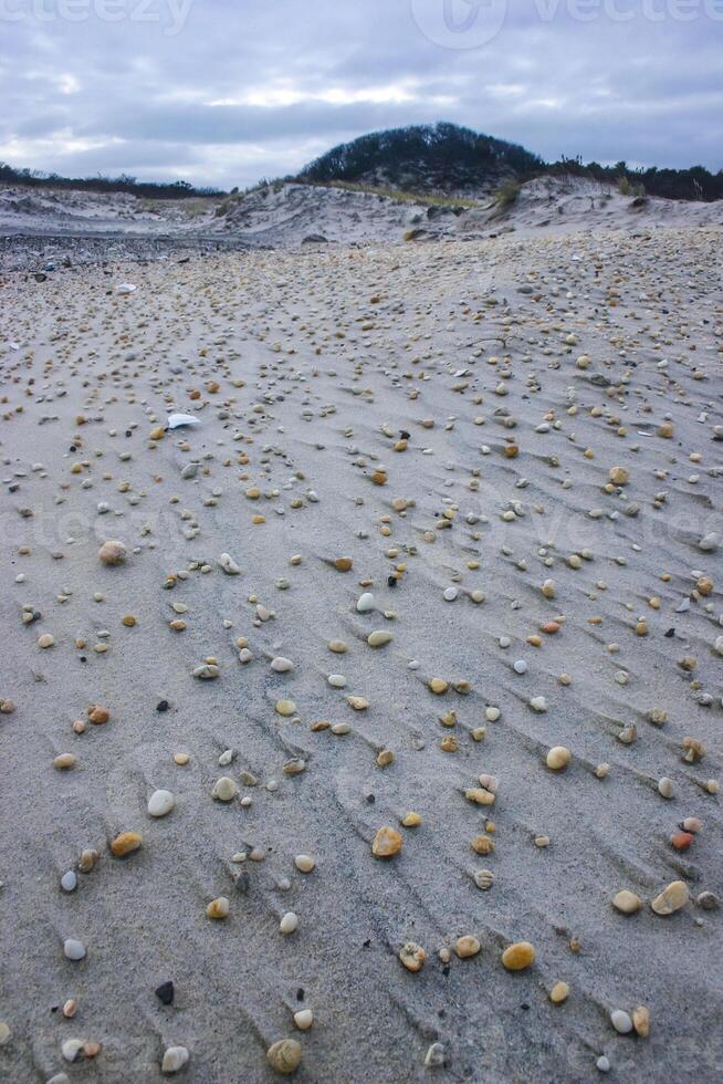 Small pebbles on the sand after a strong wind on the ocean shore in New Jersey, USA photo