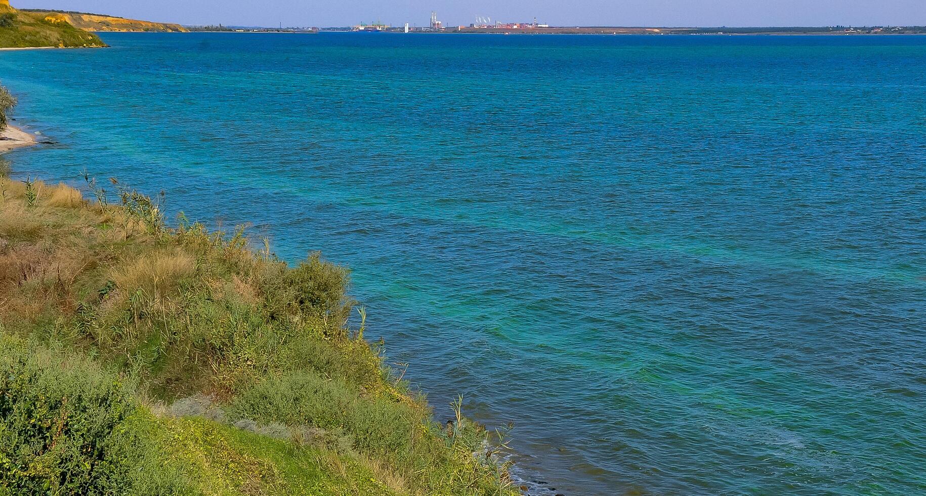 Blue-green algae bloom in the Dnieper-Bug estuary, eutrophication of water, Ukraine photo