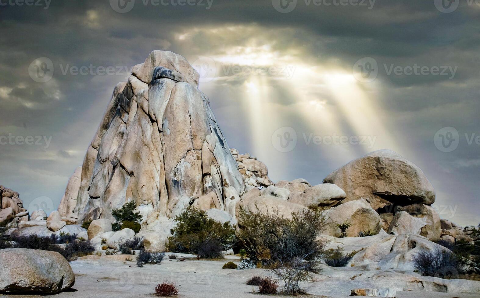 Desert stone landscape Joshua Tree, Big Rocks and Yucca Brevifolia Mojave Desert, Joshua Tree National Park, California photo