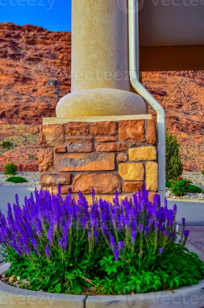 Purple flowers in the interior, a stone column in a flower bed photo