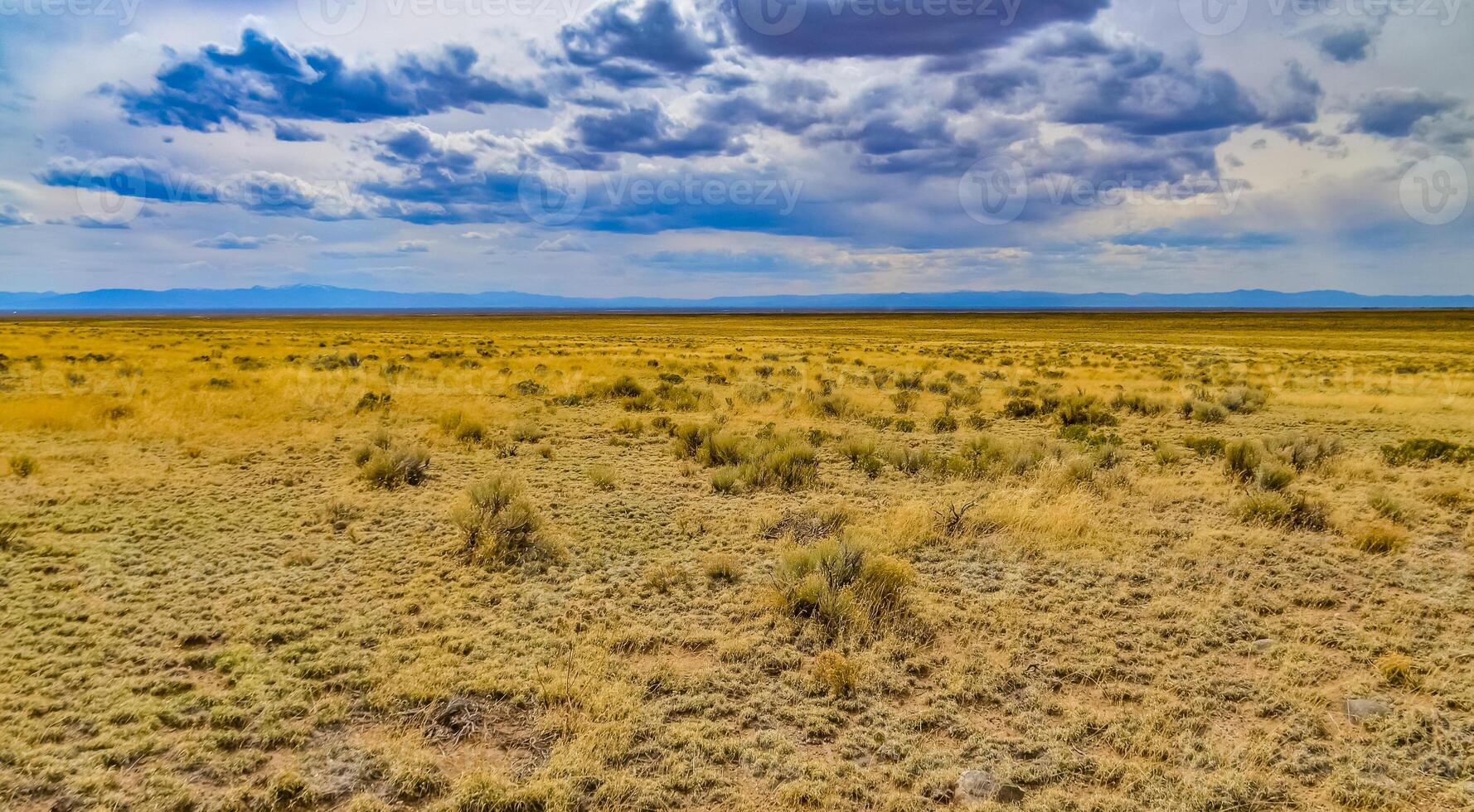 Yellow Prairie from Desert Plants, Great Sand Dunes National Park with mountains in the background, Colorado, US photo