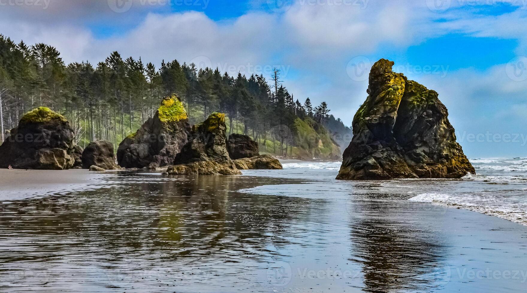 Marine landscape. Small islands and rocks on the shores of the Pacific Ocean in Olympic National Park, Washington photo